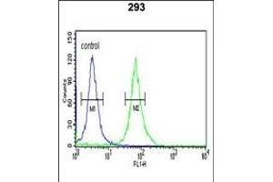 PKM2 (N-term ) Antibody (ABIN653018 and ABIN2842641) flow cytometric analysis of 293 cells (right histogram) compared to a negative control cell (left histogram). (PKM2 antibody  (N-Term))