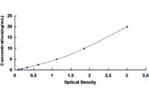 Typical standard curve (ADCY10 ELISA Kit)