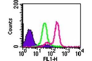 Flow cytometric analysis of TLR9 in Ramos cells. (TLR9 antibody  (AA 268-300))