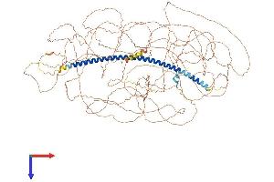AlphaFold protein structure predicition of Human Recombinant SGO2 Protein, UniprotID Q562F6 (SGOL2 Protein (AA 1-1265) (His tag))