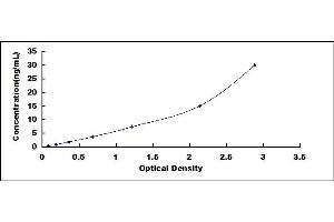 Typical standard curve (FABP7 ELISA Kit)