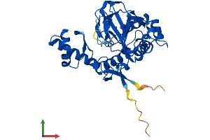 AlphaFold protein structure predicition of Human Recombinant OGFOD2 Protein, UniprotID Q6N063 (OGFOD2 Protein (AA 1-350) (His tag))