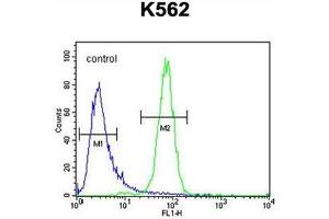 C6orf58 Antibody (Center) flow cytometric analysis of K562 cells (right histogram) compared to a negative control cell (left histogram). (C6ORF58 antibody  (Middle Region))