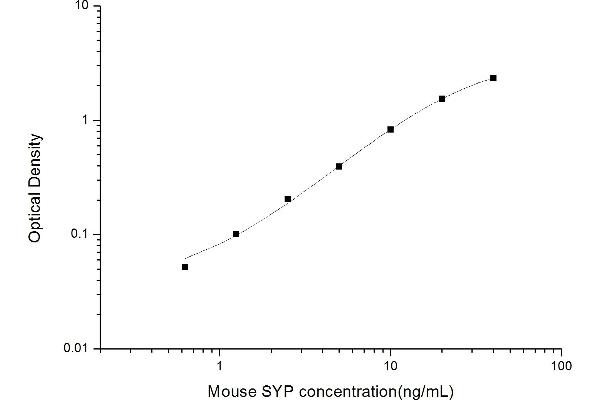 Synaptophysin ELISA Kit