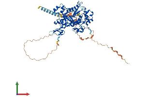 AlphaFold protein structure predicition of Human Recombinant MGAT3 Protein, UniprotID Q09327