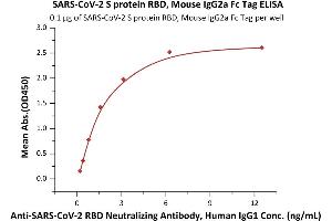 Immobilized SARS-CoV-2 S protein RBD, Mouse IgG2a Fc Tag (ABIN6973235) at 1 μg/mL (100 μL/well) can bind A-CoV-2 Neutralizing Antibody, Human IgG1 (SAD-S35) with a linear range of 0.