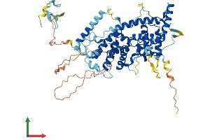 Protein Structure (PS) image for TATA Box Binding Protein (TBP)-Associated Factor, RNA Polymerase I, B, 63kDa (TAF1B) (AA 1-588) protein (His tag) (ABIN7555682)