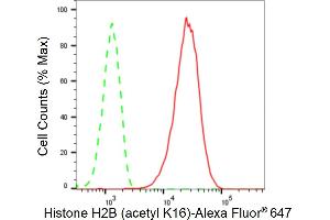 Flow cytometric analysis of Histone H2B (acetyl K16) expression in HepG2 cells using Histone H2B (acetyl K16) antibody (ABIN7798943), 1:2,000). (Recombinant Histone H2B antibody  (H2BK16ac))