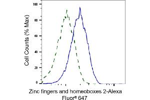 Validation of Zinc fingers and homeoboxes 2 knockdown using flow cytometry.