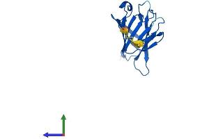 Protein Structure (PS) image for TRAF-Interacting Protein with Forkhead-Associated Domain, Family Member B (TIFAB) (AA 1-161) protein (His tag) (ABIN7544379)