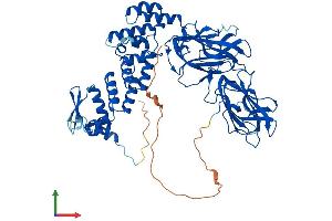 Protein Structure (PS) image for BTB (POZ) Domain Containing 9 (BTBD9) (AA 1-612) protein (His tag) (ABIN7559177)