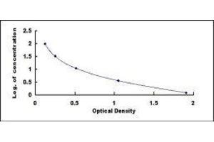 ELISA image for 7-Dehydrocholesterol ELISA Kit (ABIN418761) (7-Dehydrocholesterol ELISA Kit)