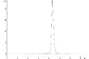 The purity of Cynomolgus B7-H6 is greater than 95 % as determined by SEC-HPLC. (B7-H6 Protein (AA 25-259) (His tag))