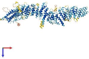 AlphaFold protein structure predicition of Mouse Recombinant Mms22l Protein, UniprotID B1AUR6 (MMS22-Like, DNA Repair Protein (MMS22L) (AA 1-1238) protein (His tag))