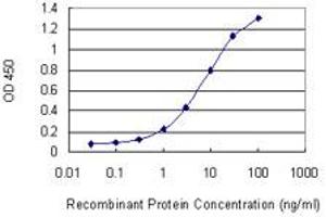 Detection limit for recombinant GST tagged PYGO1 is 0. (PYGO1 antibody  (AA 101-200))