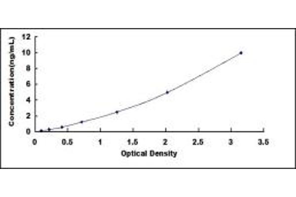 Peripherin ELISA Kit