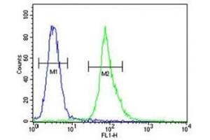AKT1 antibody flow cytometric analysis of MDA-MB435 cells (right histogram) compared to a negative control (left histogram). (AKT1 antibody  (AA 282-309))