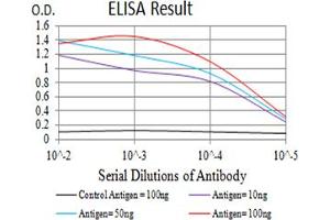 Black line: Control Antigen (100 ng),Purple line: Antigen (10 ng), Blue line: Antigen (50 ng), Red line:Antigen (100 ng) (CHRNA10 antibody  (AA 25-237))