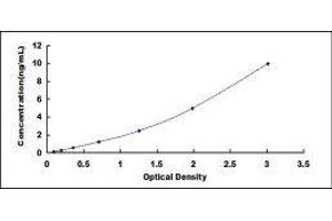 ELISA image for Choline O-Acetyltransferase (CHAT) ELISA Kit (ABIN417767)