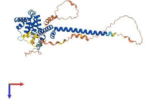 AlphaFold protein structure predicition of Mouse Recombinant Cnppd1 Protein, UniprotID Q8K158 (C2orf24 Protein (AA 1-407) (His tag))