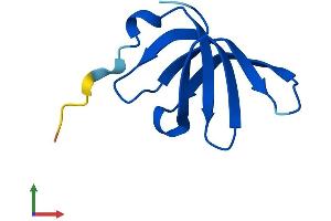 AlphaFold protein structure predicition of Human Recombinant SNRPGP15 Protein, UniprotID A8MWD9
