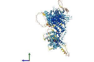 AlphaFold protein structure predicition of Mouse Recombinant Rab3gap2 Protein, UniprotID Q8BMG7 (RAB3GAP2 Protein (AA 1-1366) (His tag))