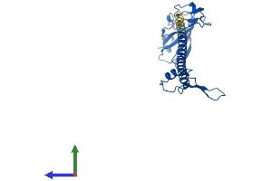 AlphaFold protein structure predicition of Mouse Recombinant Rps6 Protein, UniprotID P62754 (RPS6 Protein (AA 1-249) (His tag))