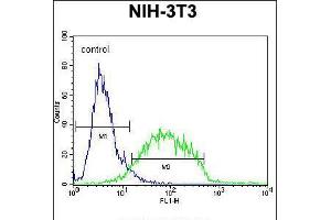 Flow cytometric analysis of NIH-3T3 cells (right histogram) compared to a negative control cell (left histogram). (GCNT3 antibody  (C-Term))