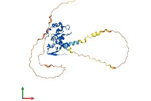Protein Structure (PS) image for Baculoviral IAP Repeat-Containing 7 (BIRC7) (AA 1-298) protein (His tag) (ABIN7552701)