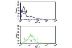 Phospholamban antibody flow cytometric analysis of Jurkat cells (green) compared to a negative control (blue). (Phospholamban antibody  (AA 1-30))