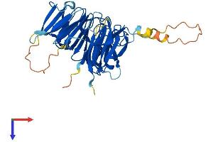 AlphaFold protein structure predicition of Mouse Recombinant Rccd1 Protein, UniprotID Q8BTU7 (RCCD1 Protein (AA 1-377) (His tag))