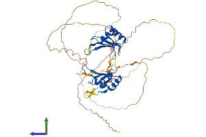 AlphaFold protein structure predicition of Human Recombinant RBMS3 Protein, UniprotID Q6XE24