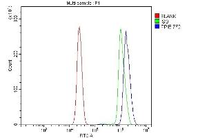 Flow Cytometry analysis of U937 cells using anti-Cyclophilin E/PPIE antibody (ABIN7599243). (PPIE antibody  (AA 1-301))