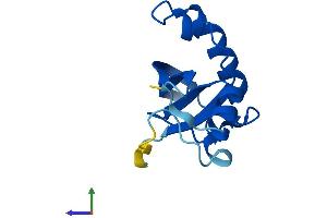 AlphaFold protein structure predicition of Human Recombinant C2orf76 Protein, UniprotID Q3KRA6