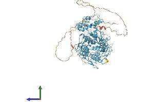 Protein Structure (PS) image for Zinc Finger Protein 425 (ZNF425) (AA 1-752) protein (His tag) (ABIN7545464)