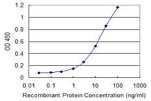 ELISA image for anti-Feline Leukemia Virus Subgroup C Cellular Receptor 1 (FLVCR1) (AA 1-83) antibody (ABIN565398)