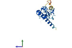 AlphaFold protein structure predicition of Human Recombinant RNF181 Protein, UniprotID Q9P0P0 (RNF181 Protein (AA 1-153) (His tag))