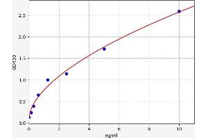 Typical standard curve (CCR1 ELISA Kit)