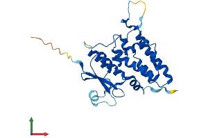 AlphaFold protein structure predicition of Mouse Recombinant Clic5 Protein, UniprotID Q8BXK9 (CLIC5 Protein (AA 1-251) (His tag))
