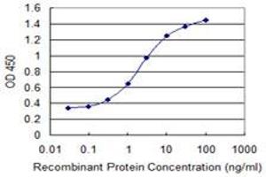 Detection limit for recombinant GST tagged LRRC4C is 0. (LRRC4C antibody  (AA 541-640))