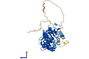 AlphaFold protein structure predicition of Mouse Recombinant Trdmt1 Protein, UniprotID O55055
