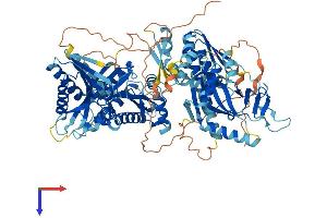 AlphaFold protein structure predicition of Mouse Recombinant Parp9 Protein, UniprotID Q8CAS9