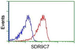 Flow Cytometry (FACS) image for anti-Short Chain Dehydrogenase/reductase Family 9C, Member 7 (SDR9C7) antibody (ABIN1500846) (SDR9C7 antibody)