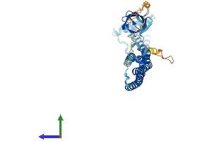 Protein Structure (PS) image for SH3-Domain GRB2-Like 1 (SH3GL1) (AA 1-368) protein (His tag) (ABIN7546051)