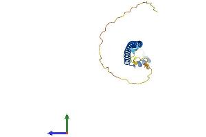 AlphaFold protein structure predicition of Mouse Recombinant Kxd1 Protein, UniprotID Q80XH1 (C19orf50 Protein (AA 1-177) (His tag))