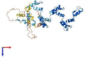 AlphaFold protein structure predicition of Human Recombinant ZNF829 Protein, UniprotID Q3KNS6