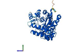 AlphaFold protein structure predicition of Human Recombinant UROD Protein, UniprotID P06132
