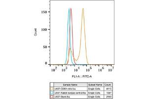Flow cytometry: U937 cells were stained with Rabbit IgG isotype control (, 10 μg/mL, blue line) or CD8A Rabbit mAb (ABIN1512846, ABIN3021030, ABIN3021031 and ABIN7101333, 10 μg/mL orange line), followed by FITC conjugated goat anti-Rabbit pAb (1:200 dilution) staining. (CD8 alpha antibody)