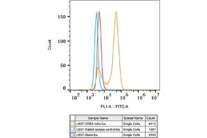 CD8 alpha antibody