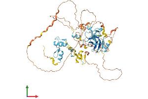 AlphaFold protein structure predicition of Human Recombinant PRDM6 Protein, UniprotID Q9NQX0 (PRDM6 Protein (AA 1-595) (His tag))